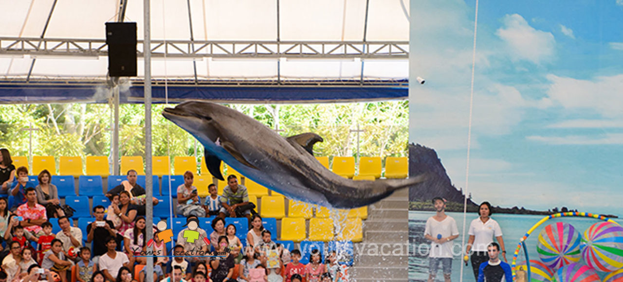 โชว์ปลาโลมาภูเก็ต Phuket Dolphin Show
